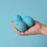 Last inn bildet i Galleri-visningsprogrammet, BRONTOSAURUS egg
